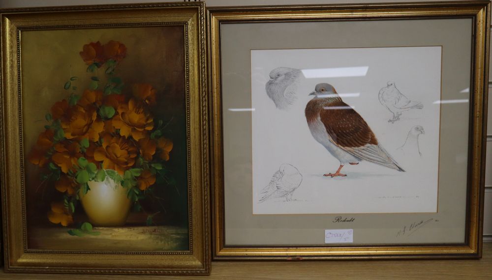 Michael J. Clark, pencil and watercolour, Study of a Redoubt pigeon, signed and dated 86, 30 x 33cm and an oil still life